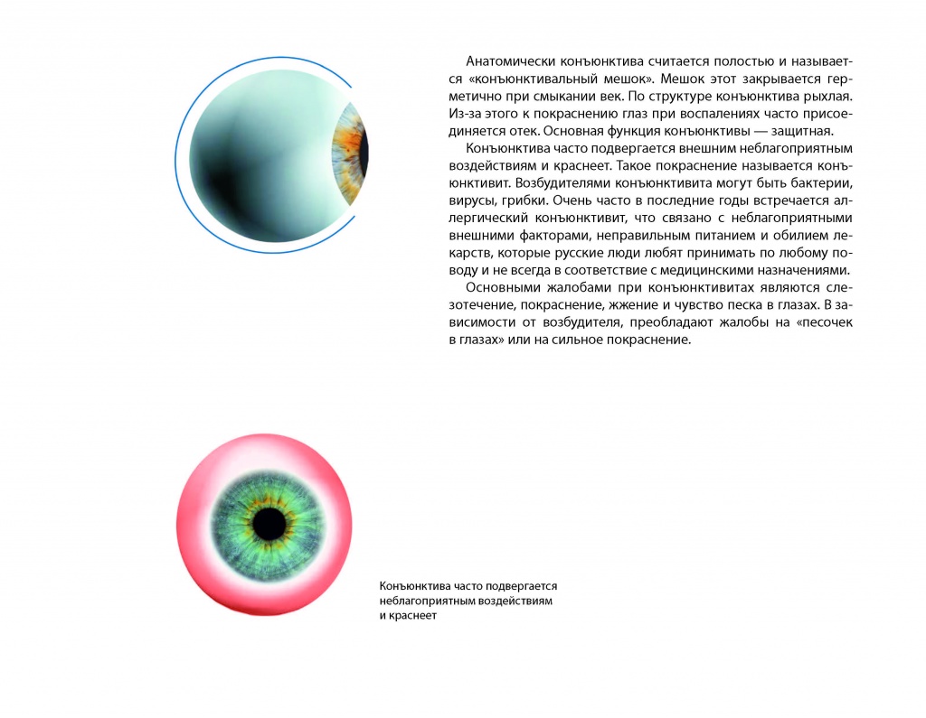 eyes_PRINT_260x202_01-03 (pdf.io)__2.jpg